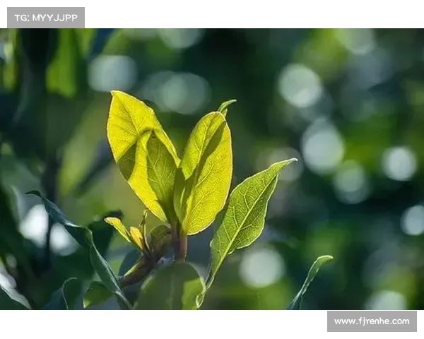阿尔巴深情告别绿茵坦言已倾尽所有迎接人生全新旅程